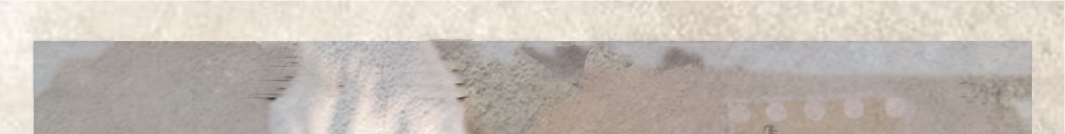 interfiliere Shanghai上海国际贴身时尚原辅料展