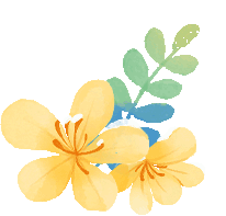 interfiliere Shanghai上海国际贴身时尚原辅料展