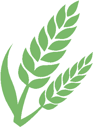 interfiliere Shanghai上海国际贴身时尚原辅料展