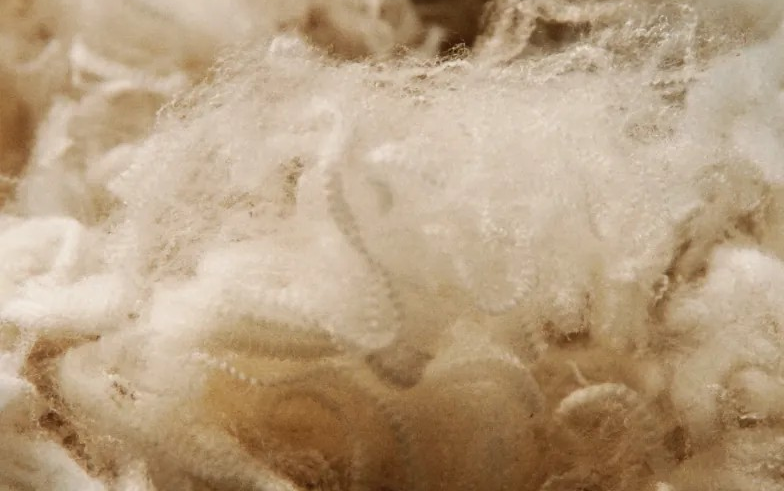 interfiliere Shanghai上海国际贴身时尚原辅料展 interfiliere Shanghai上海国际贴身时尚原辅料展