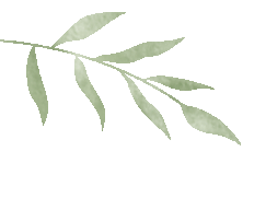interfiliere Shanghai上海国际贴身时尚原辅料展